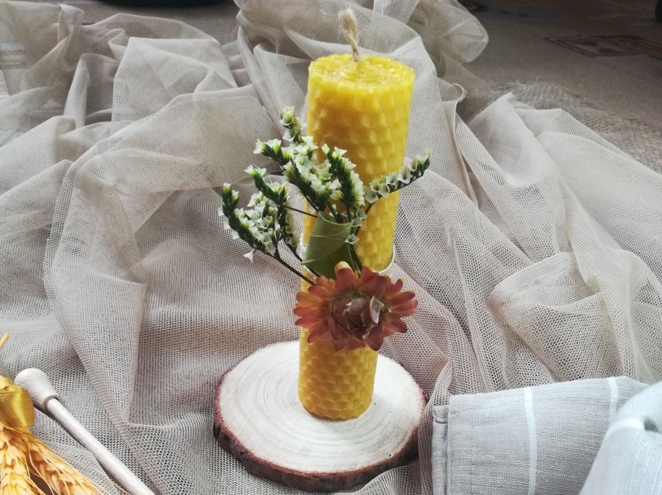 Образовательные туры