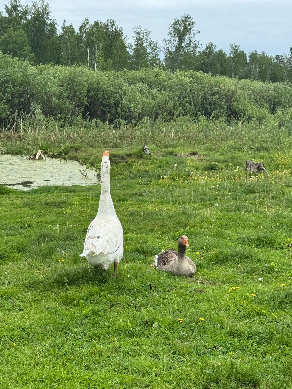 Музей космонавтики