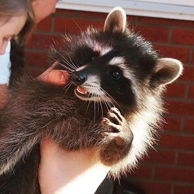 Музей космонавтики