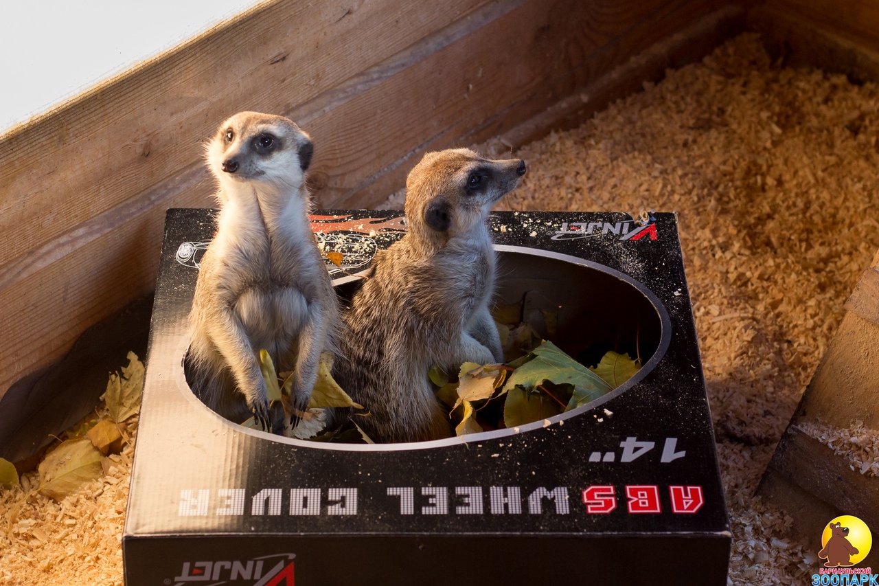 Музей космонавтики